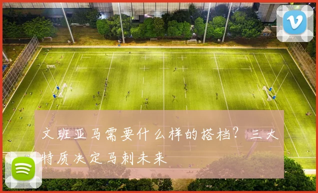 文班亚马需要什么样的搭档？三大特质决定马刺未来