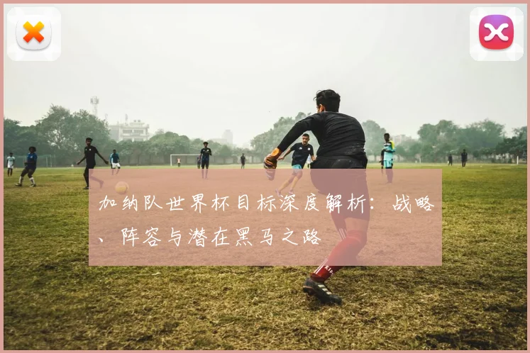 加纳队世界杯目标深度解析:战略、阵容与潜在黑马之路